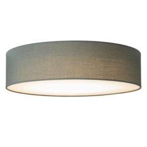 Connect ceiling light